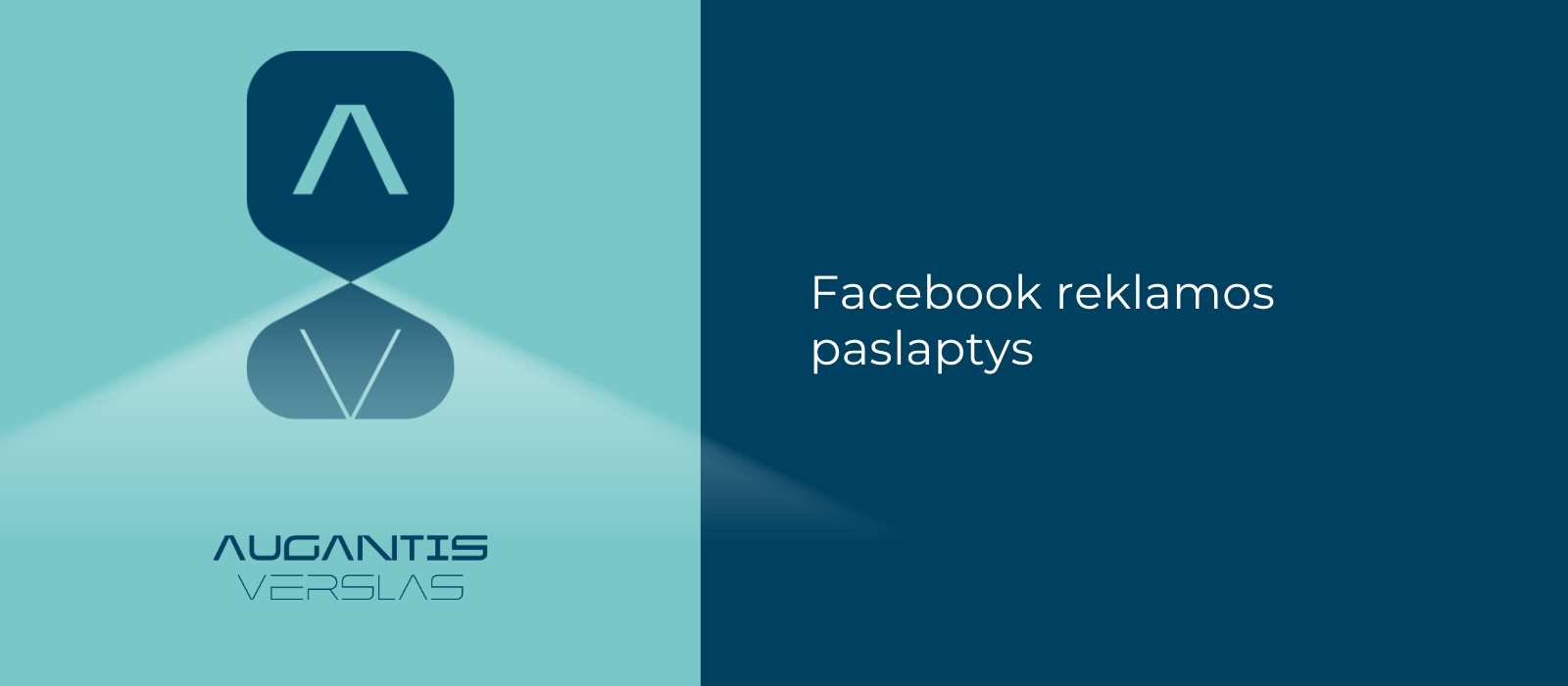 Facebook reklamos paslaptys
