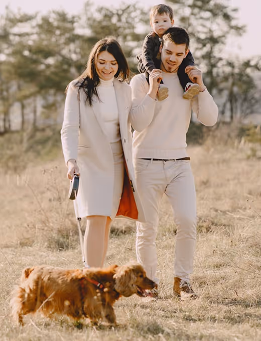 Man carrying a child on his shoulders and woman holding a leash walking a dog in a grassy field.