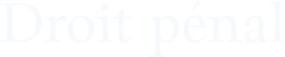 Big Logo Image