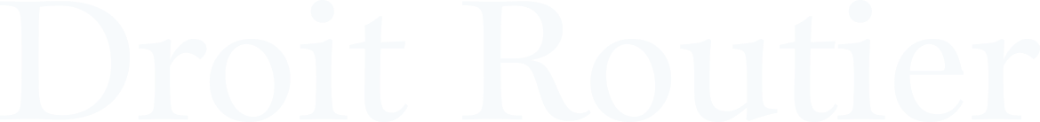 Big Logo Image