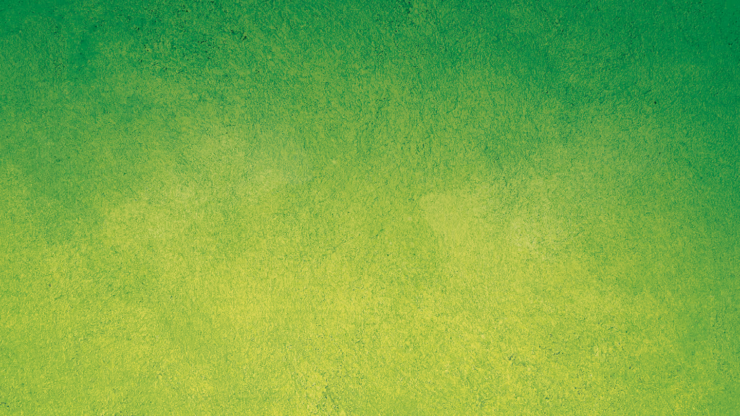 Brand photography background