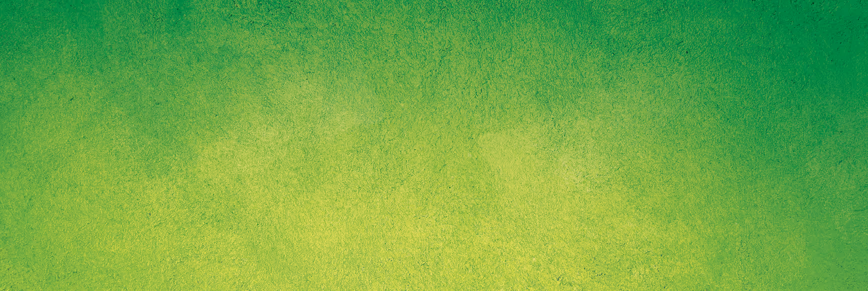 Brand photography background