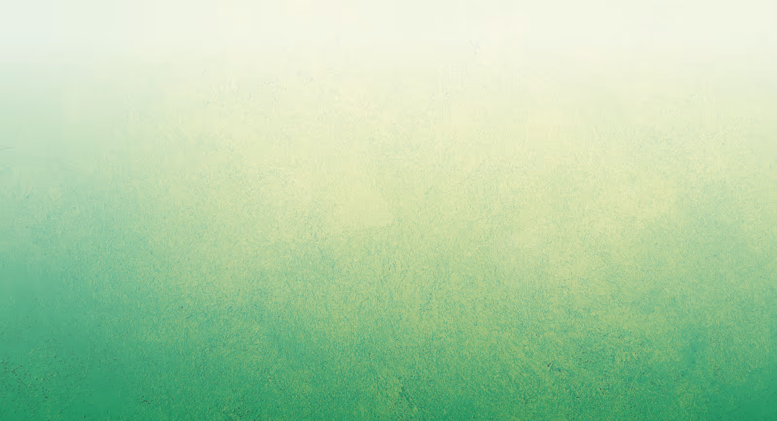 Brand photography background