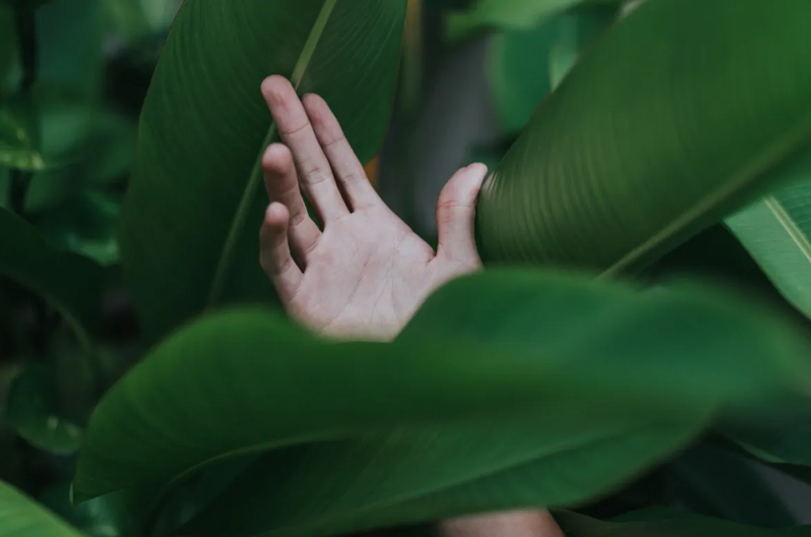 Hand holding a yellow leaf with two hexagonal holes and a curved cut forming a smiling face.