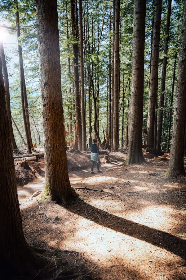 a hike in washington 