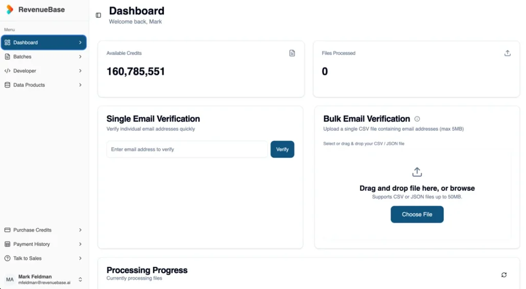 RevenueBase catch-all email verification
