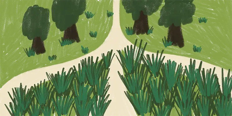 Illustration of a forked dirt path dividing green grass and dense bushes with trees in the background.