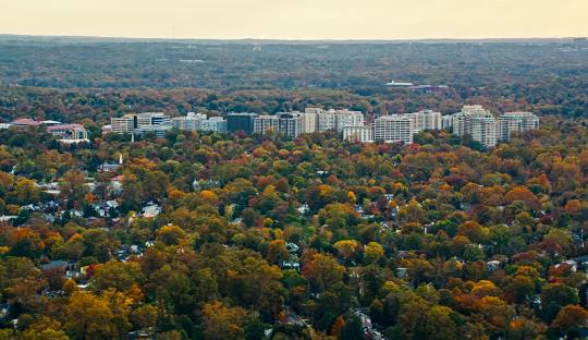 Aerial view of Chevy Chase, Maryland, showing a dense forest with autumn foliage in front of a cluster of mid-rise buildings under a cloudy sky.