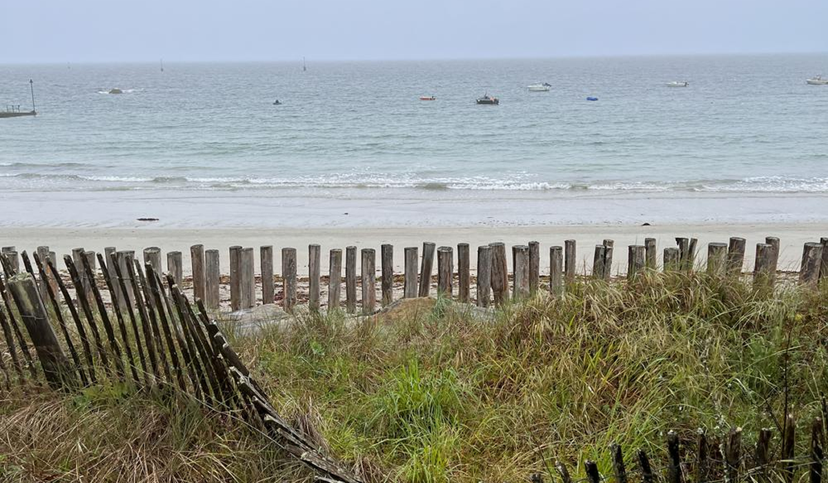 View of a calm sea with several small boats in the distance, sandy beach with wooden post fences and grassy dunes in the foreground.