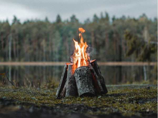 License - Rental X Webflow Template