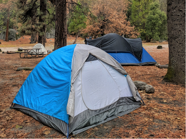 License - Rental X Webflow Template