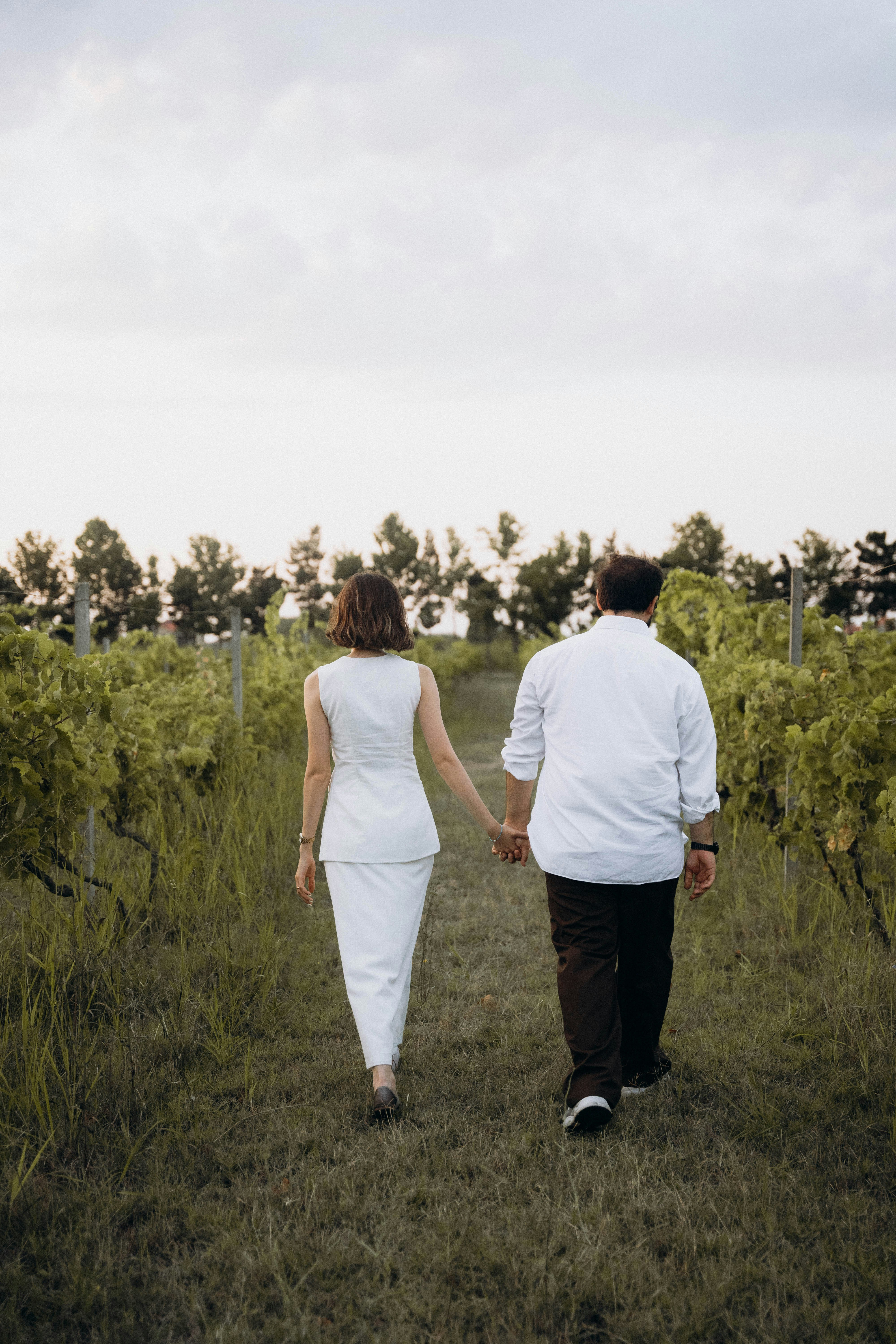 Family-friendly Crooked Vine Vineyard & Winery
