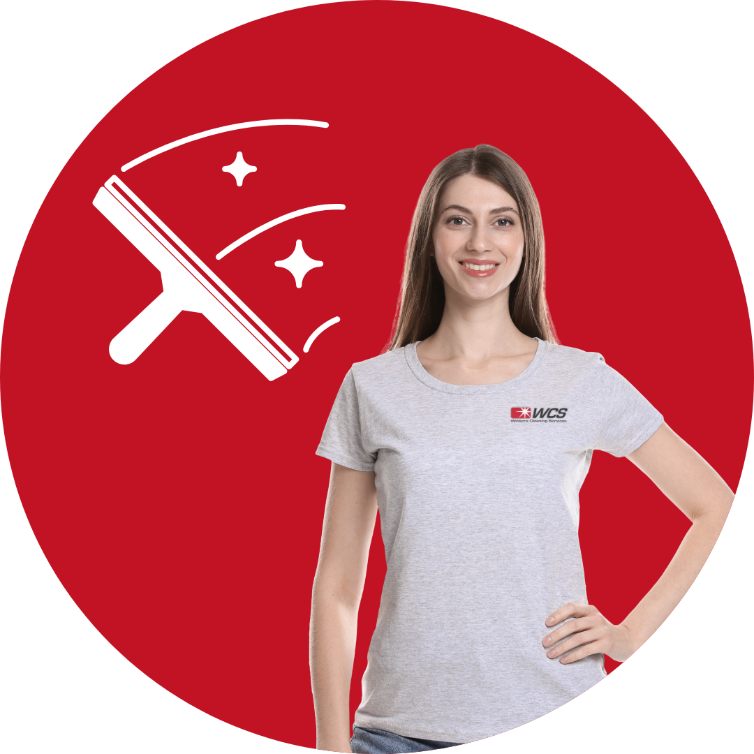 Window Washing Expert