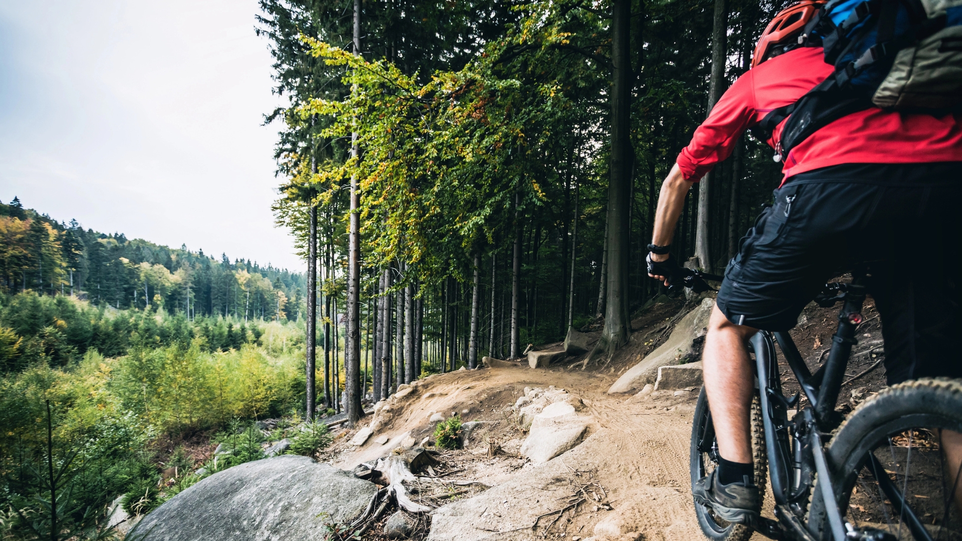 photo of a client's home