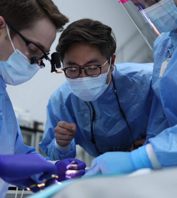 Surgical planning image for gum treatment at Livewell Dental