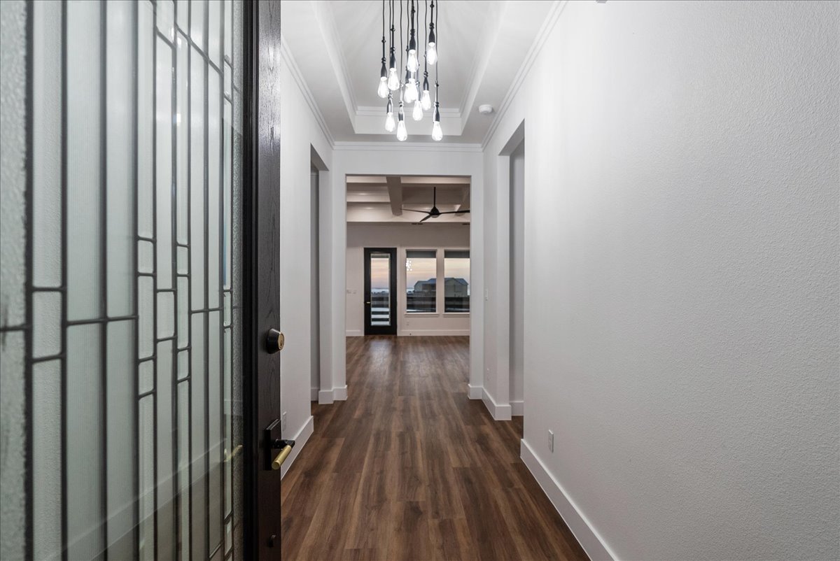 View through a partially open decorative glass front door into a modern hallway with wood flooring and a ceiling light fixture.