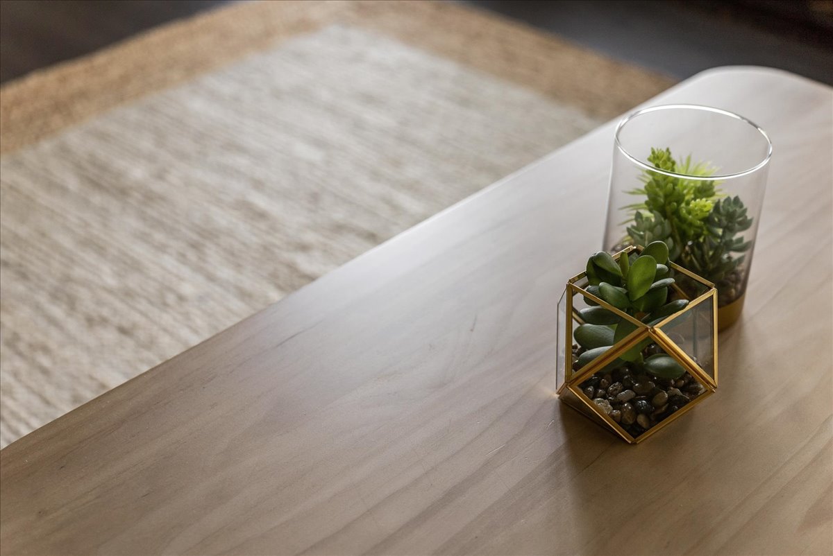 Two small green succulent plants on a wooden table, one in a geometric glass terrarium and the other in a cylindrical glass container.