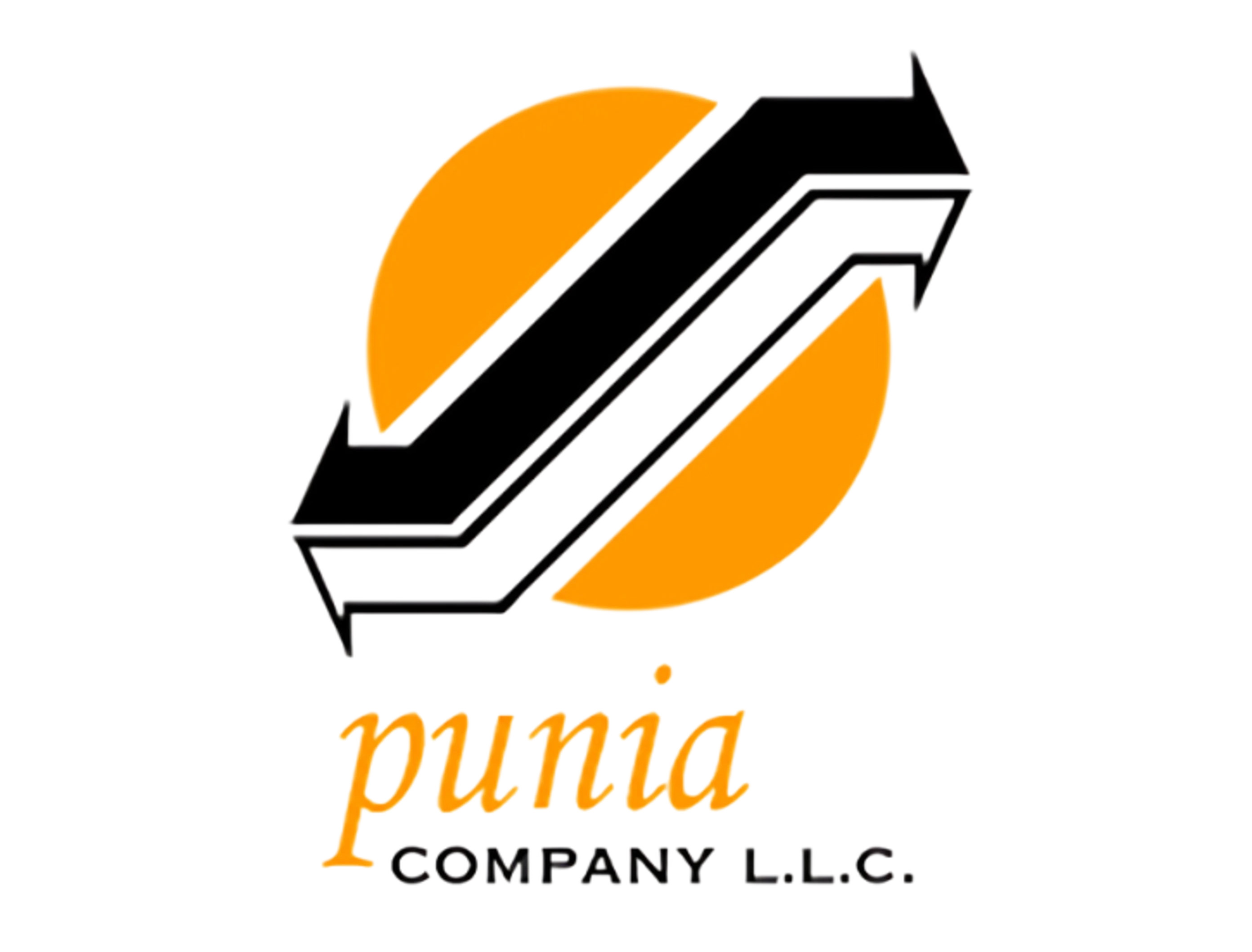 Punia Company, L.L.C. logo