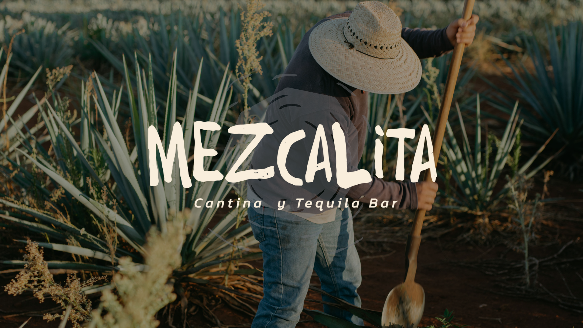 Mezcalita Cantina y Tequila Bar, Churchgate Mumbai