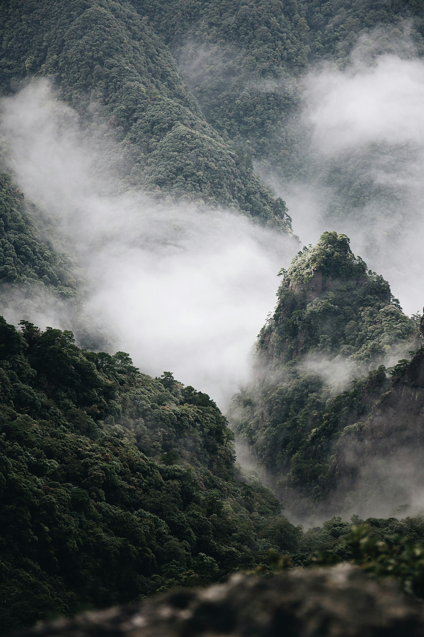 Misty green hills shrouded in cloud at Kerala's Western Ghats mountain range