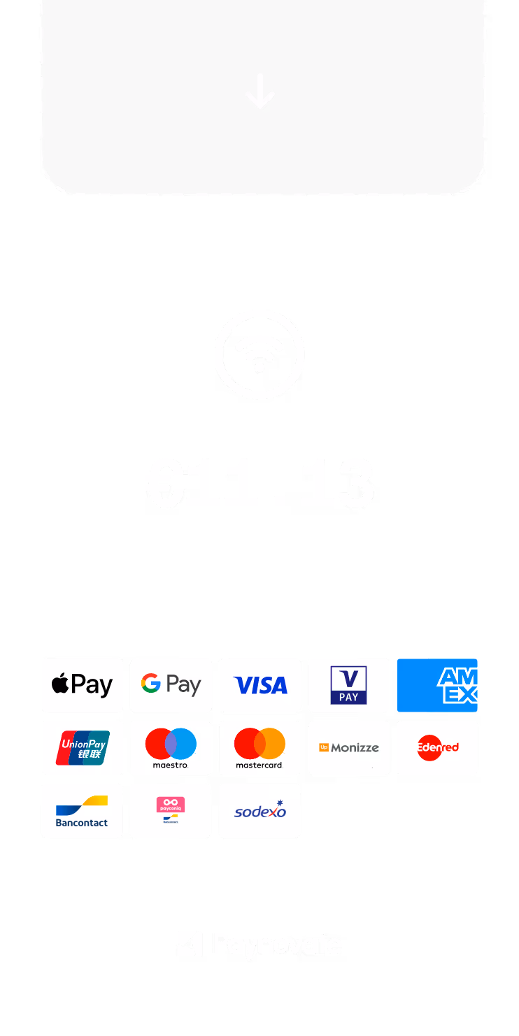 Digital payment interface showing €11.13 amount with multiple payment method icons and Paynovate logo.