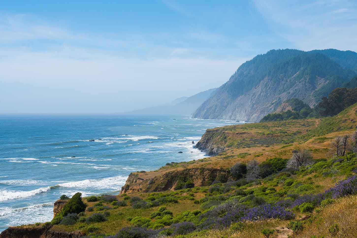 Sinkyone Wilderness State Park