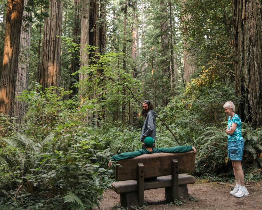 human walk in the forest