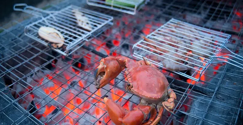 Bilut Hills in Bentong – team building retreat with seafood BBQ experience in Malaysia