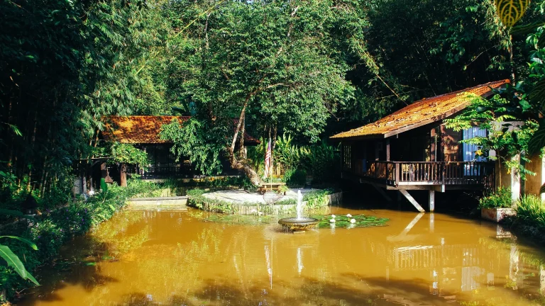 Danau Daun Retreat Janda Baik Team Building