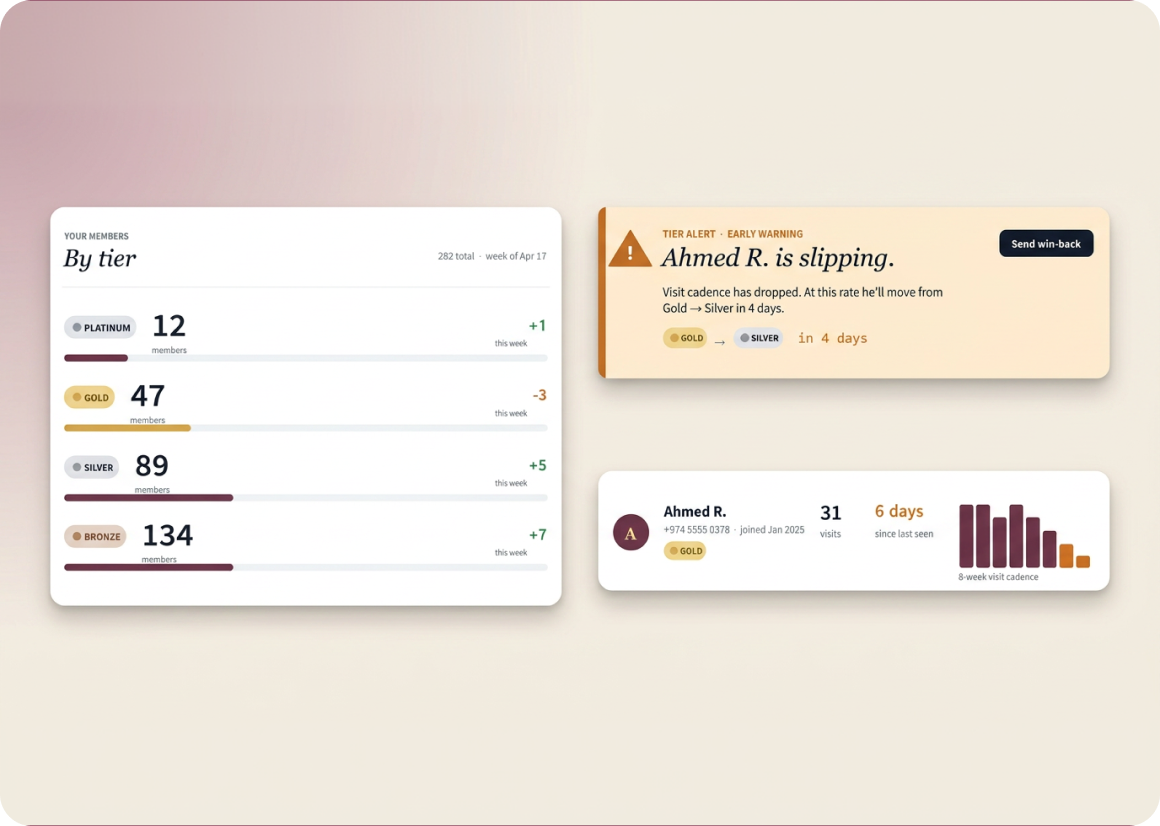 weekly email model dashboard preview