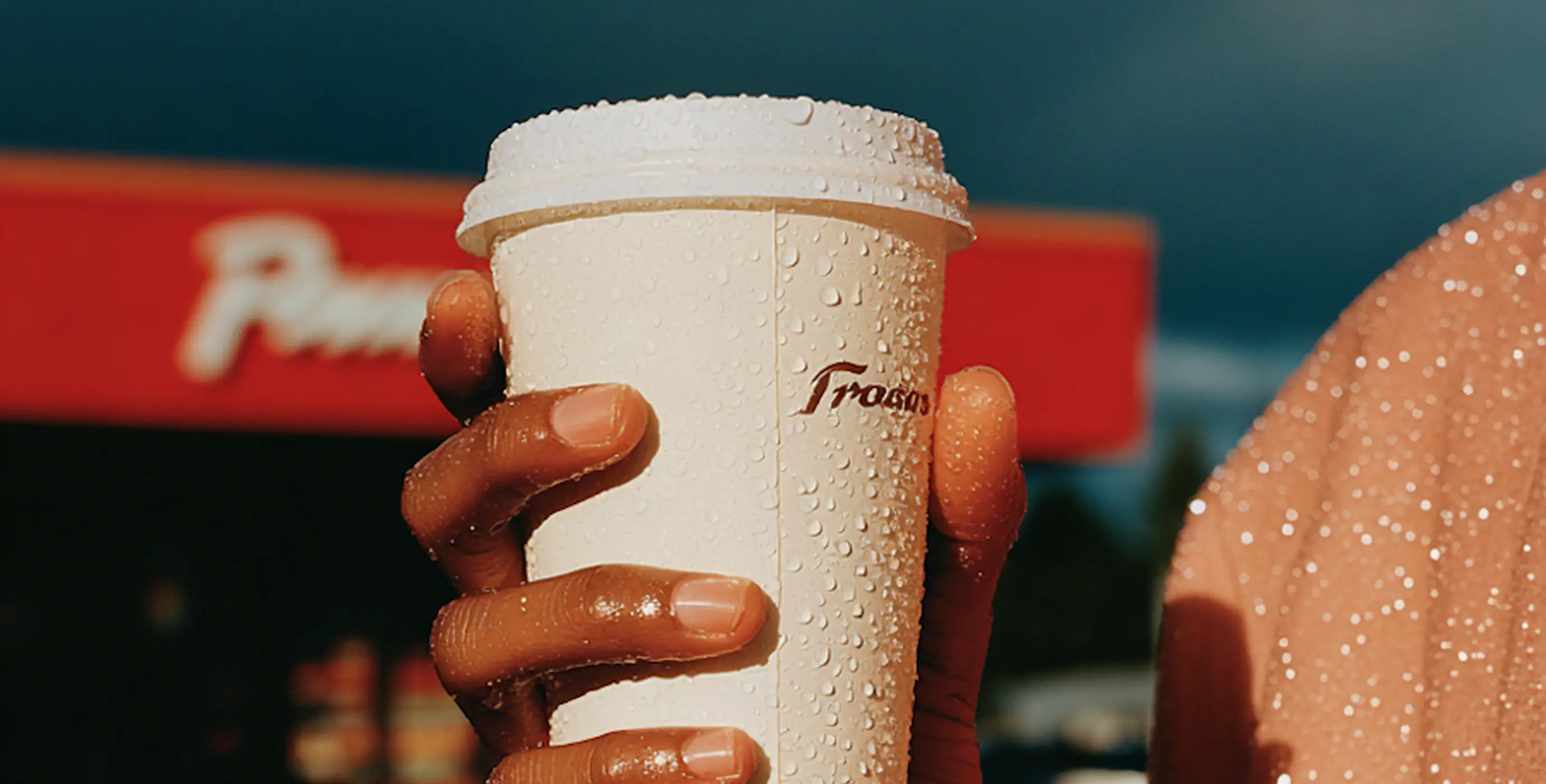 Single Project Image