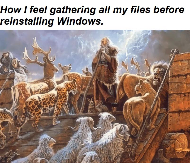 Backup Before You Reinstall
