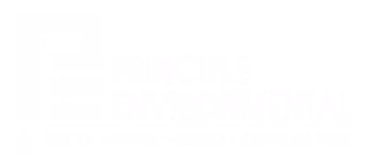 PRINCIPLE ENVI LOGO