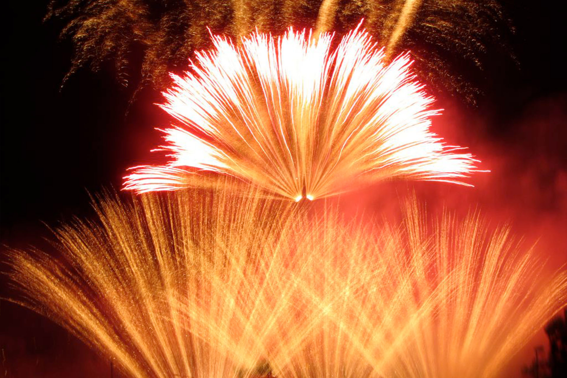 Feux d'artifice orange vif et blancs éclatant dans le ciel nocturne de Strasbourg