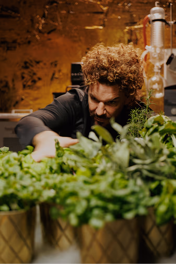 mario hofferer with herbs