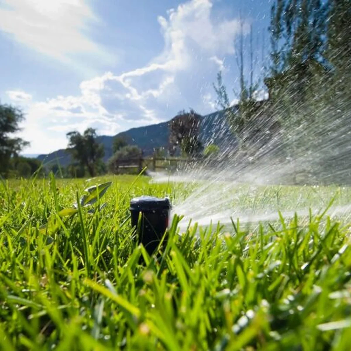 black sprinkler spraying green grass lawn