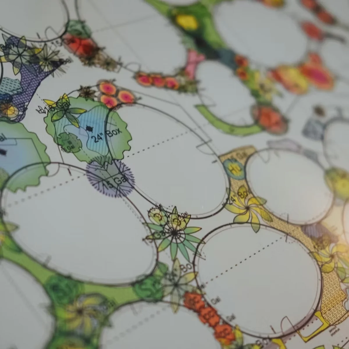 colorful garden landscape design blueprint drawing