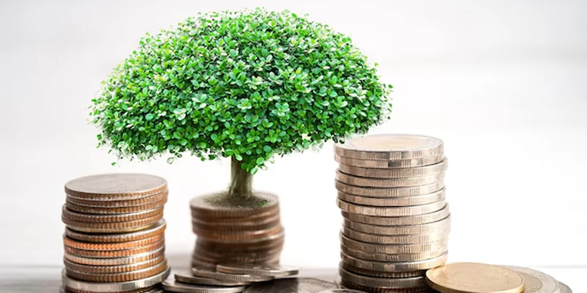 green money tree on coin stacks