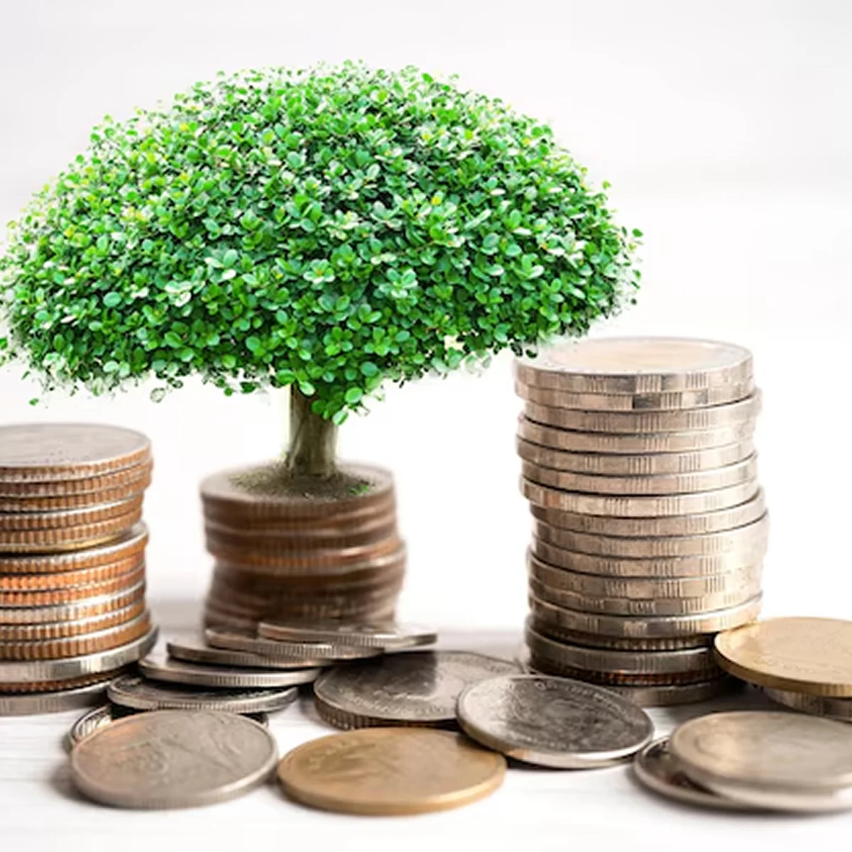 green money tree on coin stacks