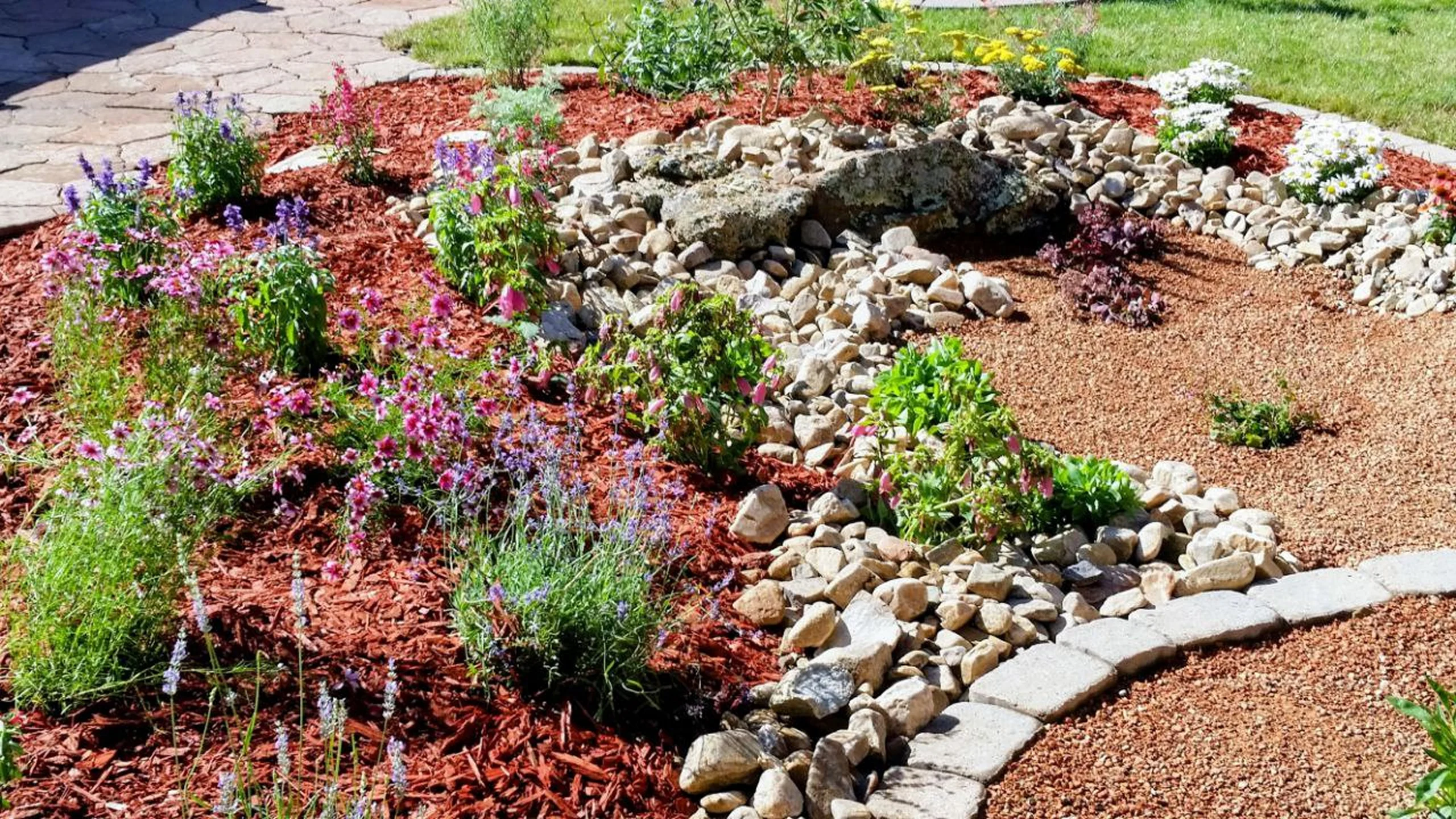 red mulch rock garden purple flowers