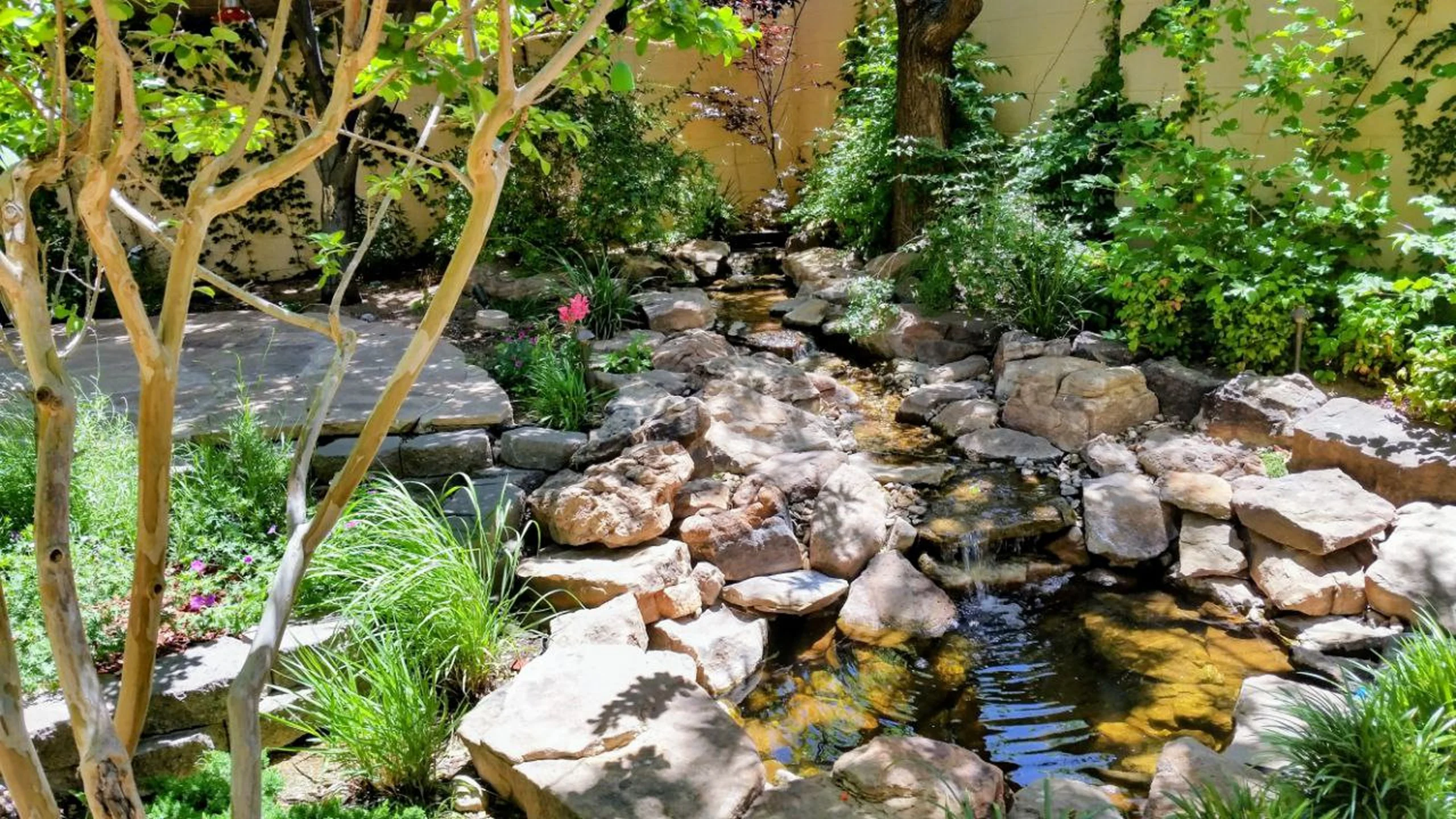 sunlit backyard rock waterfall pond green plants