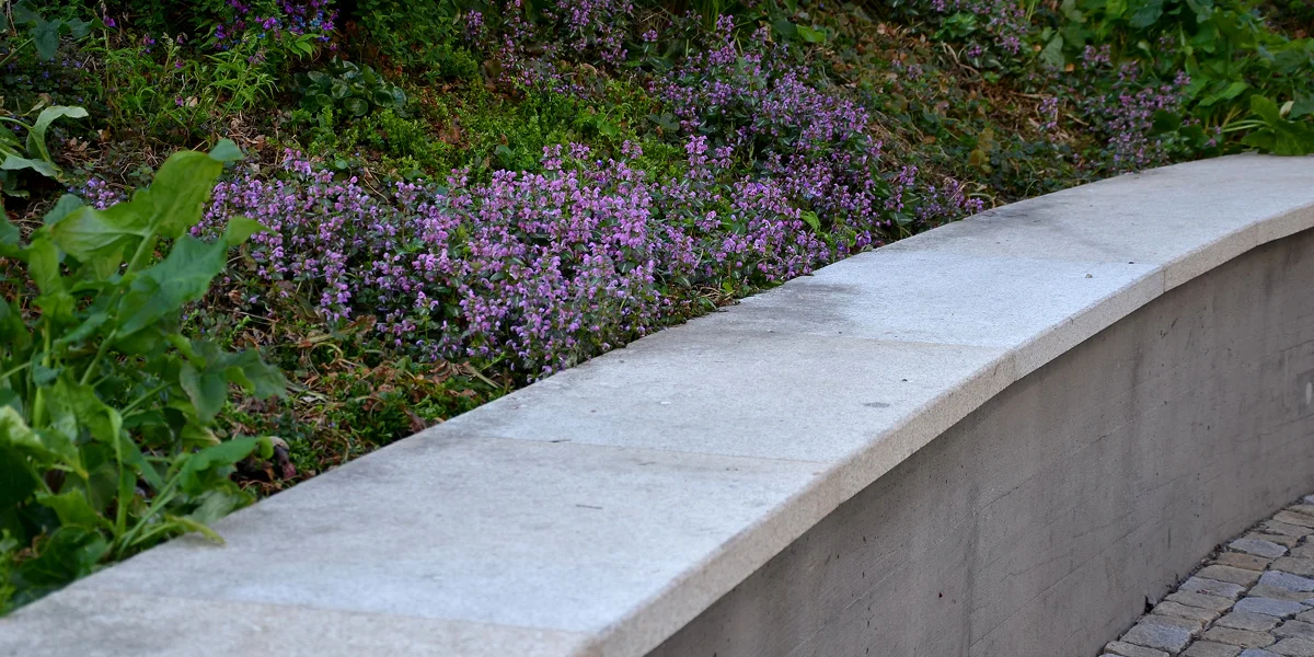 curved stone bench purple groundcover flowers