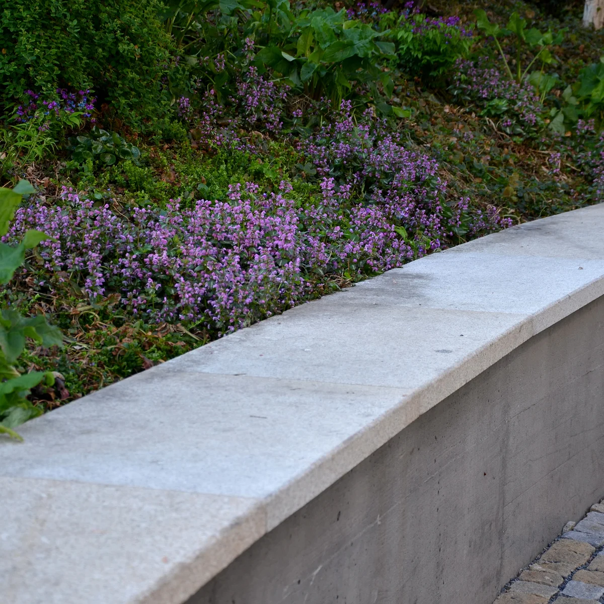 purple flowering groundcover concrete retaining wall