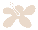 Hibiscus flower icon