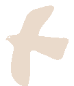 Bird in motion icon