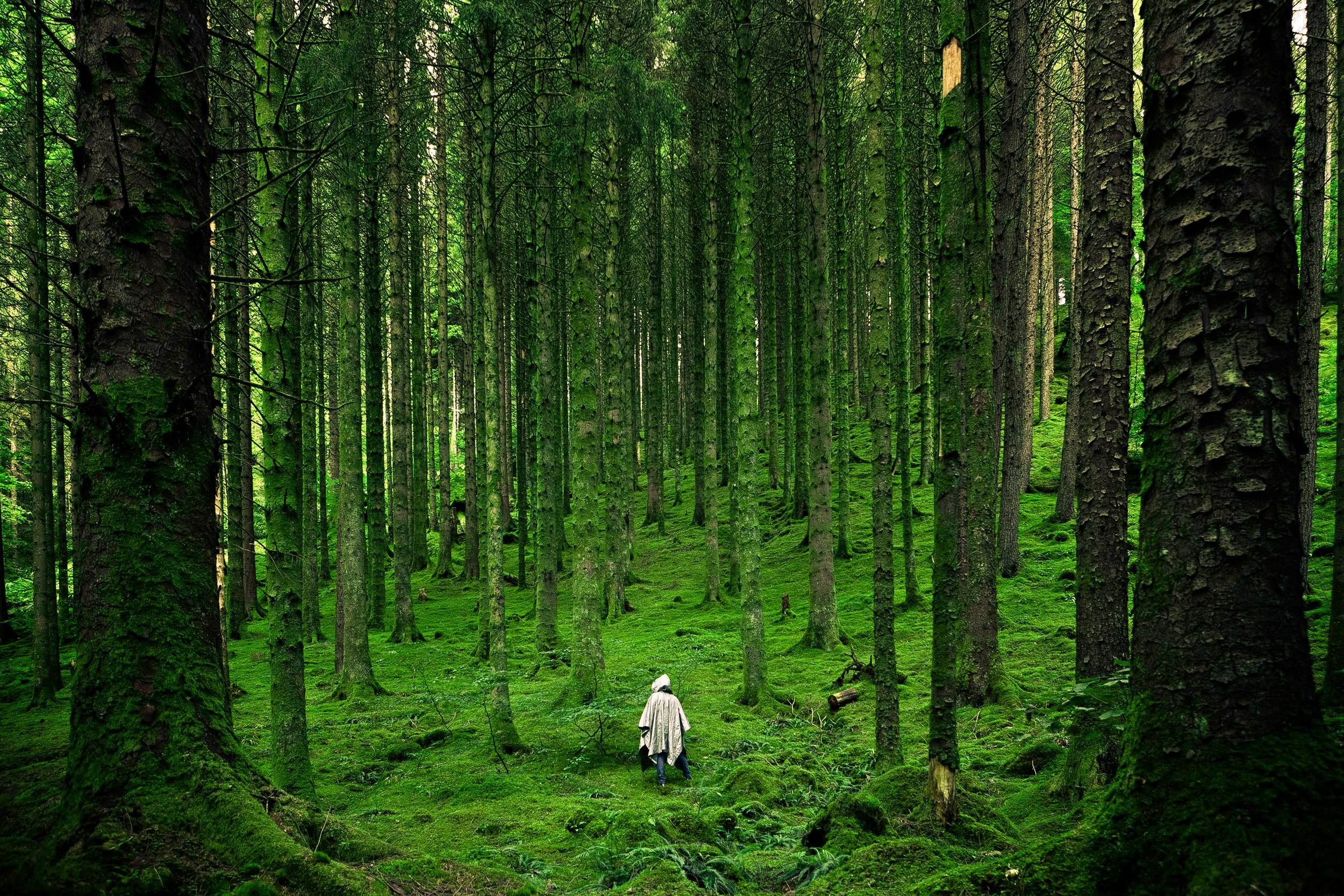 Person wearing a light-colored cloak walking through a dense green forest with tall trees and moss-covered ground.