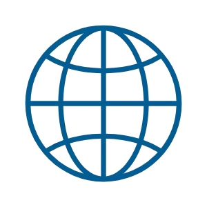 Blue globe icon with longitude and latitude lines.