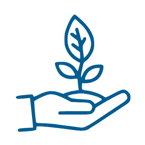 Outline of a hand holding a small plant with three leaves.