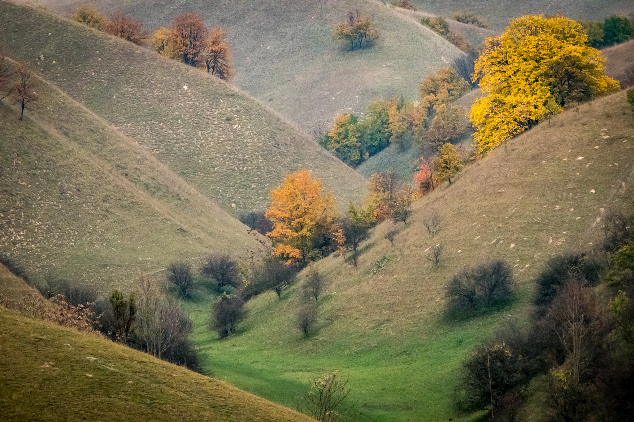 Zelena brda Delibatske peščare