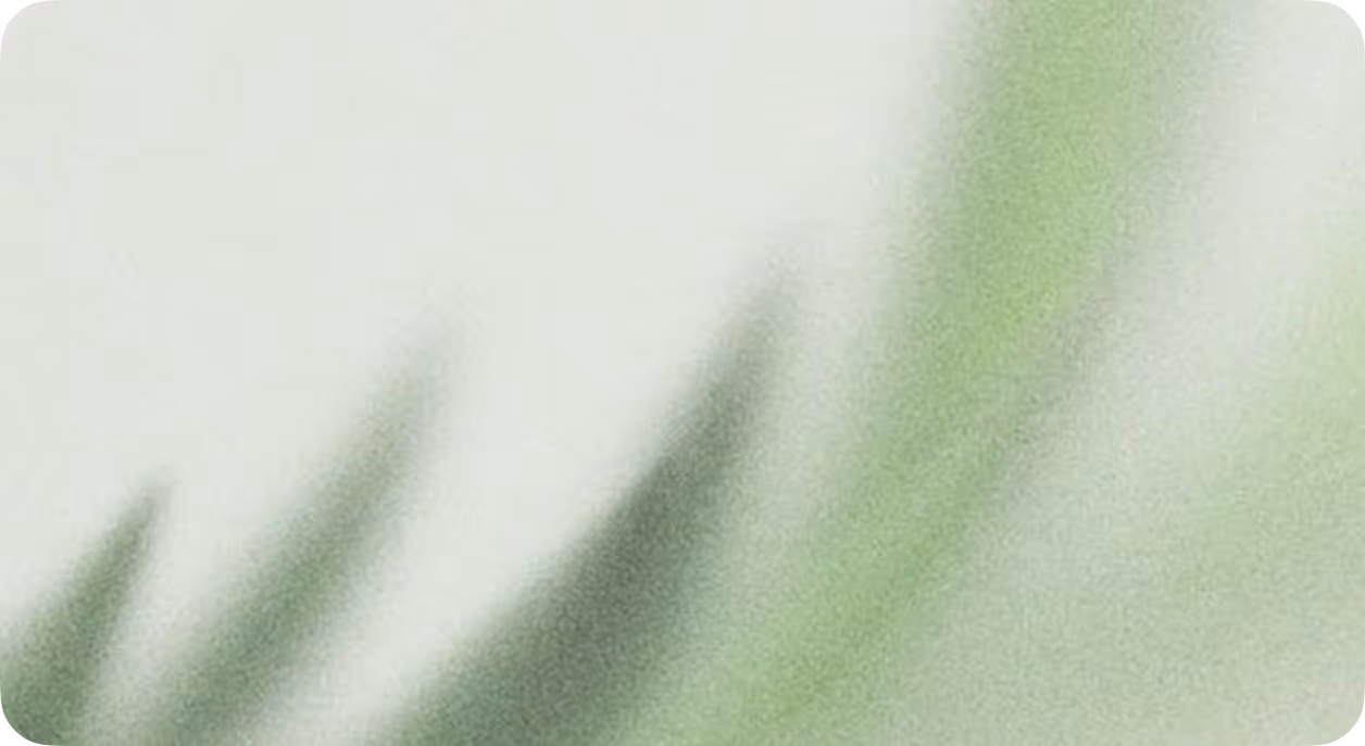 Close-up of soft, blurred green leaves against a pale background.